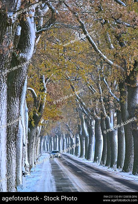 30 November 2023, Brandenburg, Petersdorf: A car drives along a snow-covered avenue in the Oder-Spree district in the east of Brandenburg