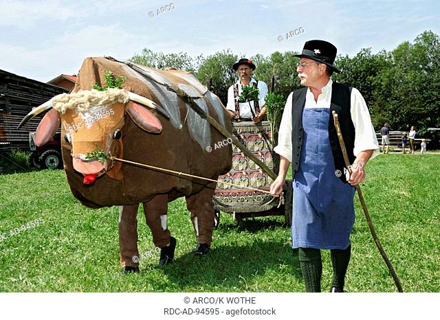 Men with people dressed up like ox oxen race Bichl Bavaria Germany