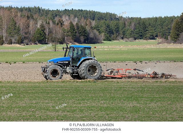 New Holland TM165 tractor with harrows, harrowing field seedbed, Sweden, may