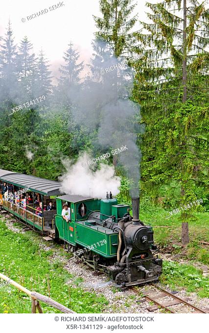 steam train, Museum of Kysuce village, Vychylovka, Slovakia