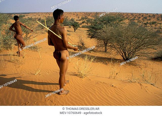 Namibia - 2 Kung Bushmen / San in the Kalahari Desert with its camelthorn trees (Acacia erioloba)