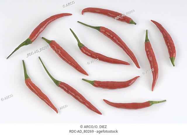 Hot Chili Capsicum frutescens Cayenne Chili Pepper Tabasco Pepper