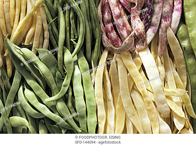 Various types of beans (close-up, 1)