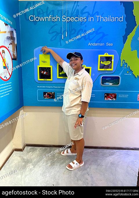 27 April 2023, Thailand, Koh Phi Phi: Marine biologist Tatee Sutadra, who works at the ""Marine Discovery Centre"" of the SAii Phi Phi Island Village resort on...