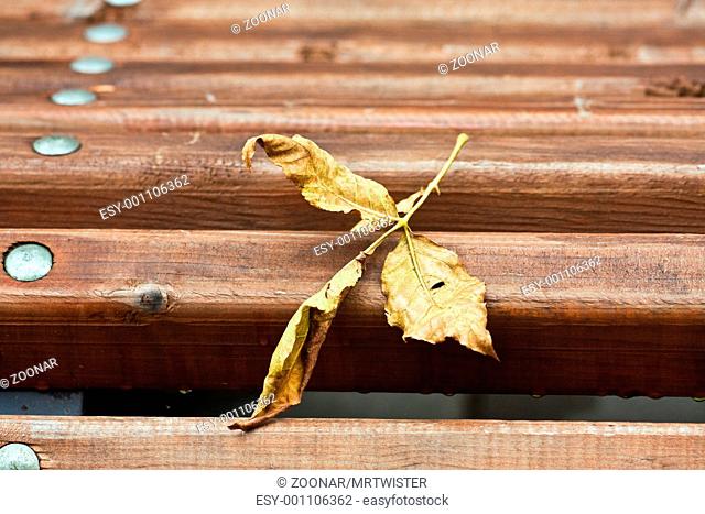 Yellow leaf on a bench