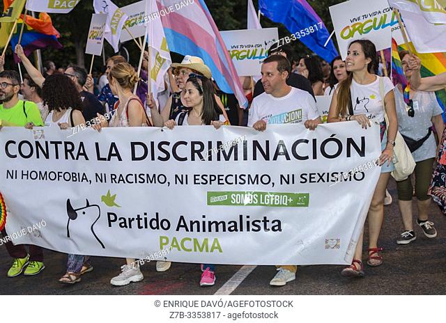 Madrid, Spain. 6 th July, 2019. Gay pride parade takes place in Madrid with thousands of visitors