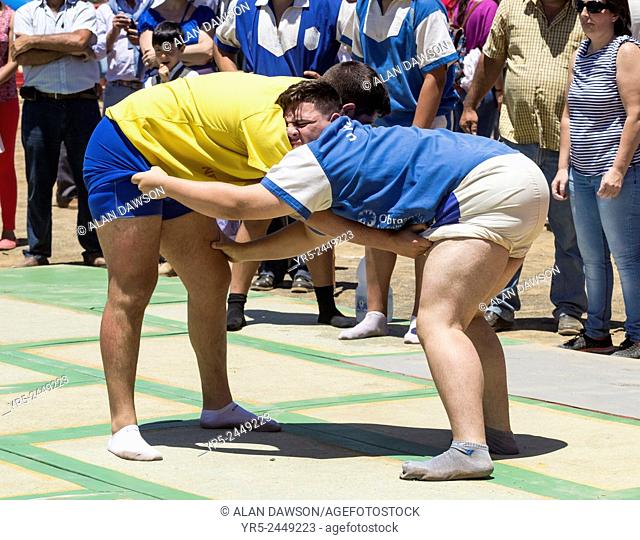 Caideros, Gran Canaria, Canary Islands, Spain. Lucha Canaria (Canarian wrestling) competition at the annual ""Fiesta de La Lana"" (wool festival) on "" Dia de...