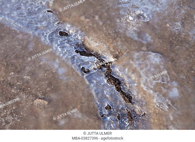 Chile, Geysir field El Tatio, ice, close up