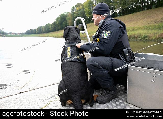 17 October 2023, Saxony, Bad Schandau: A service dog handler of the service dog squad of the Dresden Police Department squats next to a Rottweiler on a boat on...