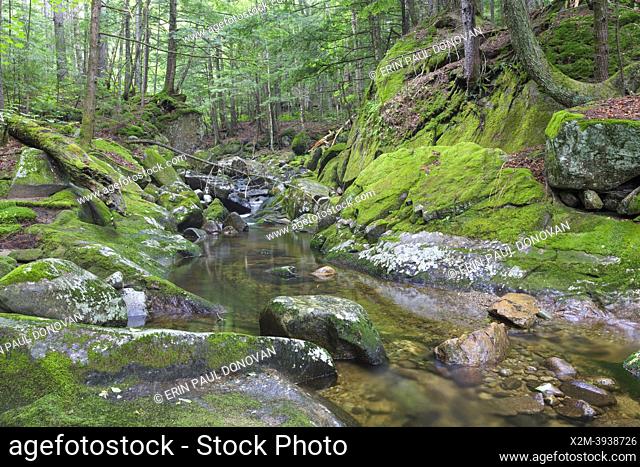 A small gorge area covered in moss along Walker Brook in Woodstock, New Hampshire during the summer months