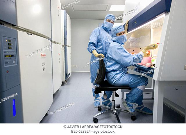 Clean room, preparing cultures in laminar flow cabinet, DMEM (Dulbeco's Modified Eagle's Medium), biopharmaceutical lab, development and production of...