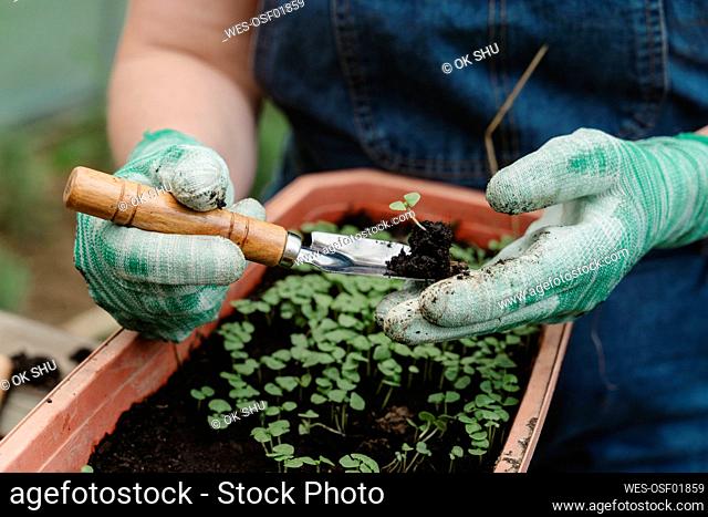 Farmer digging soil with gardening equipment