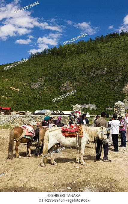 Horsebacking riding for tourist at Shangrila, Yunnan, China