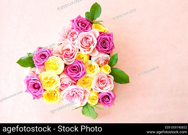 Rosen in verschiedenen Farben als Hintergrund mit Textfreiraum