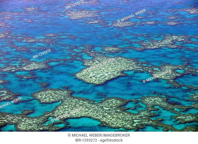 Aerial view of the ocean floor, Knuckle Reef, Great Barrier Reef World Heritage Area, Great Barrier Reef, UNESCO World Heritage Site, Queensland, South Pacific