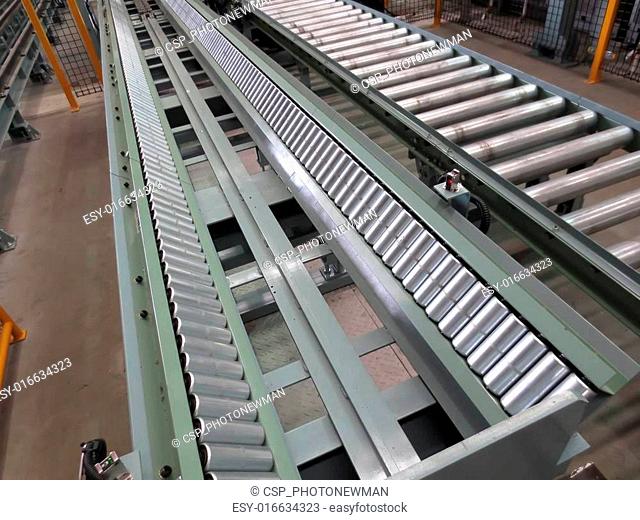 Conveyor for transporting the plant