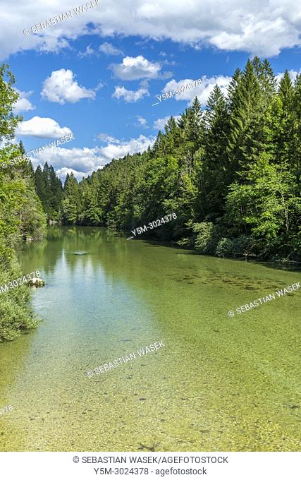 Sava Bohinjka River, Bodesce, Upper Carniola, Slovenia, Europe