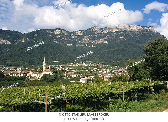 Vineyard, mountain village, Kaltern or Caldaro, Trentino, Alto Adige, Italy, Europe