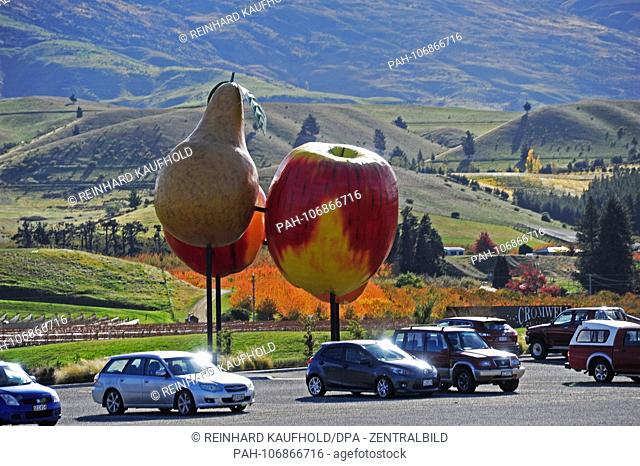 An oversized apple and a pear in the little town of Cromwell on the South Island of New Zealand show the visitor that he is in the focus of fruit production