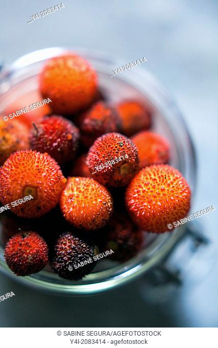 Arbutus berries