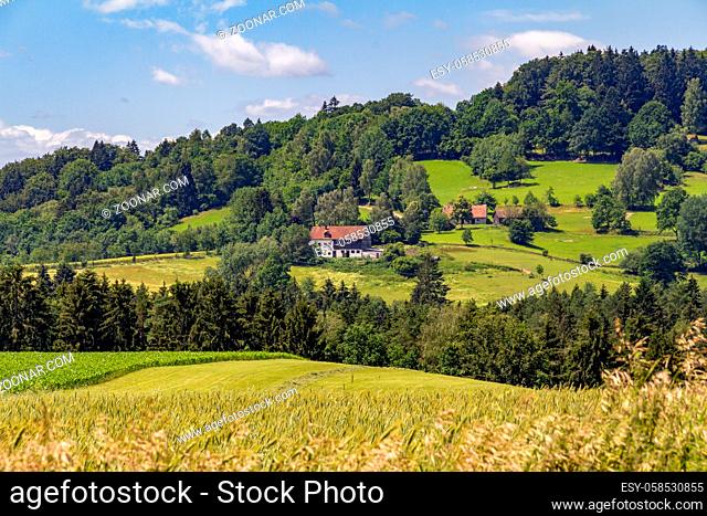 idyllic scenery around Wiesenfelden in the Bavarian Forest at summer time