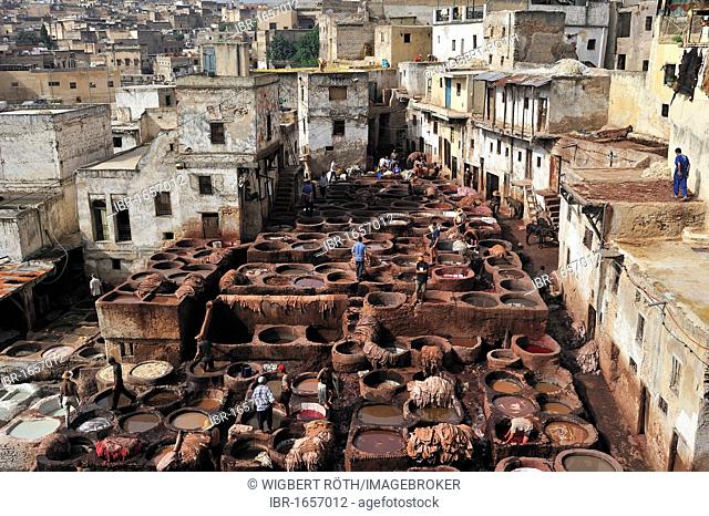 Lime and dye vats, tanners and dyers quarter, Fez, Morocco, Africa
