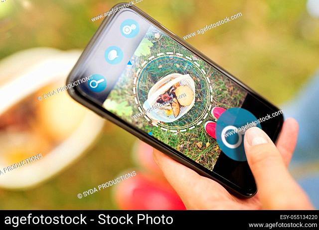 hand with mushrooms using search app on smartphone