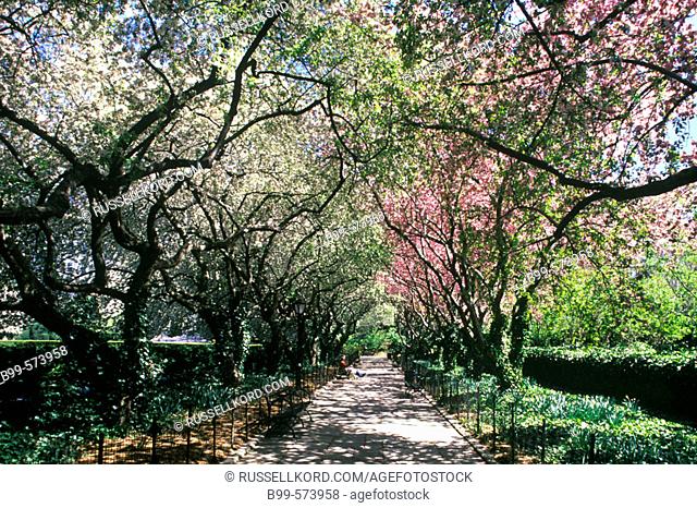 Path, Conservatory Garden, Central Park, Manhattan, New York, USA