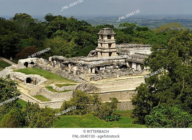 Ruin of a Maya palace at Palenque, Chiapas, Mexico, elevated view