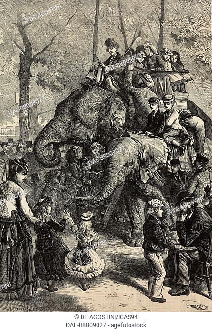 Elephant riding, Monday afternoon at the Zoological Society's Gardens, London, United Kingdom, illustration by Charles Joseph Staniland (1838-1916)