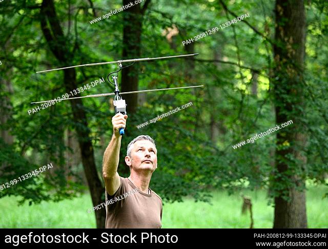 28 July 2020, Hessen, Mörfelden: Markus Dietz, biologist, walks through the forest with a tracking antenna. Some bats in the colony carry transmitters
