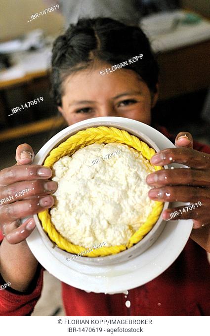 Production of fresh cheese in the Penas Valley, laughing young girl presents cheese pressed into round shape, Departamento Oruro, Bolivia, South America