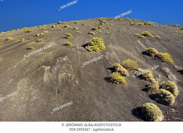 Volcanic landscape, Timanfaya National Park. Lanzarote Island. Canary Islands Spain. Europe