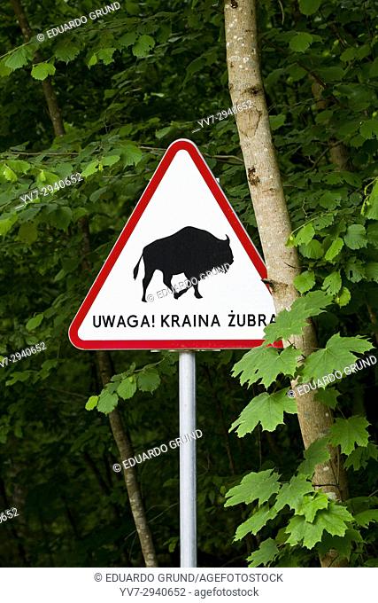 Traffic sign with the warning that we can stumble upon some bison. Bialowieza National Park. Bialowieza, Podlasie, Poland, Europe