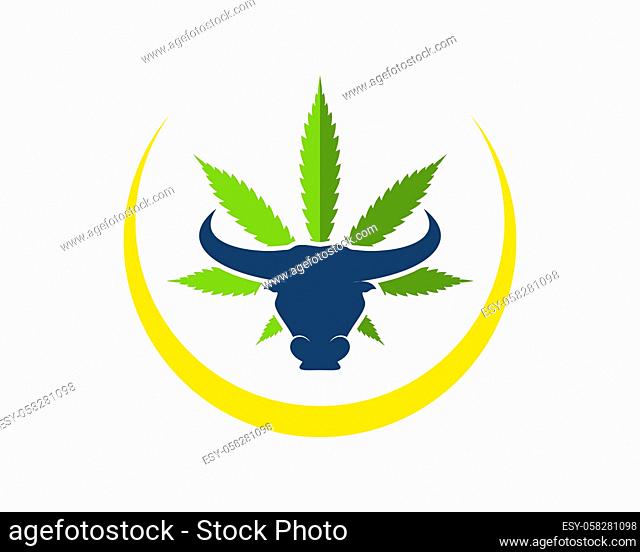 Cannabis leaf with bull head and yellow swoosh