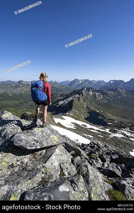 Hiker on the trail to the mountain Rundfjellet, Lofoten, Nordland, Norway, Europe