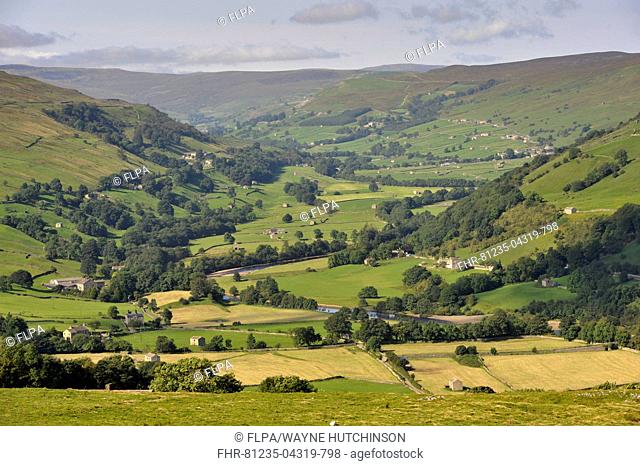 View across river valley with farmland, looking up Swaledale towards Gunnerside from Whitaside Moor, Yorkshire Dales N.P