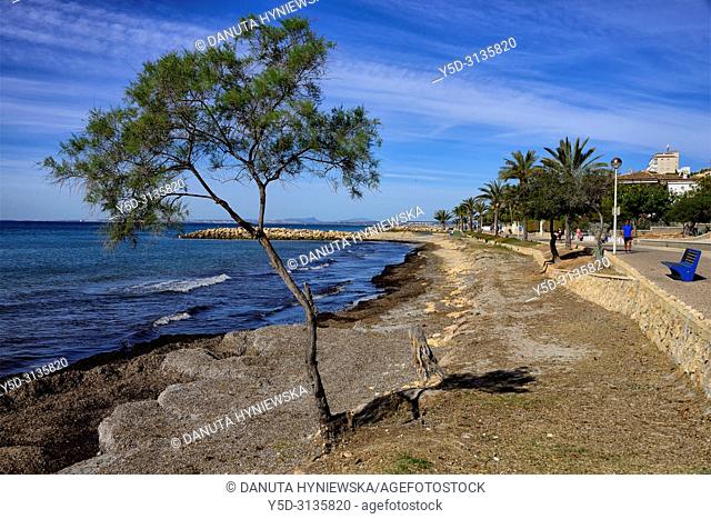 Santa Pola - coastal resort near Alicante, promenade along seaside, Mediterranean Sea coast, comarca of Baix Vinalopo, Valencian Community, Alicante, Spain