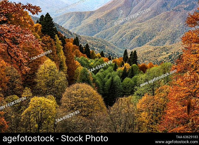 RUSSIA, SOCHI - OCTOBER 21, 2023: A view of wooded hillsides in the Caucasus Nature Reserve in the resort of Sochi in autumn. Dmitry Feoktistov/TASS