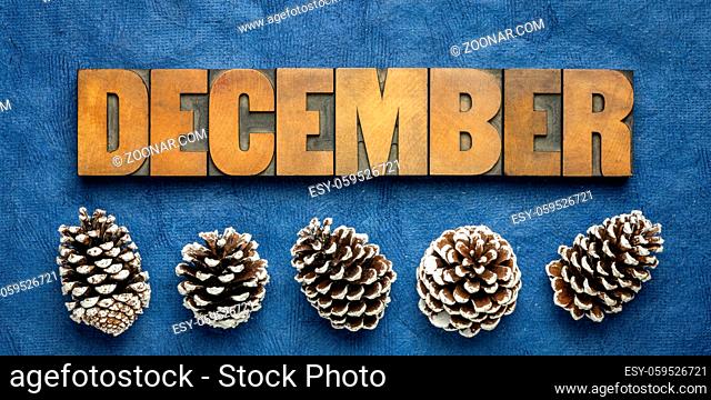December banner - word in vintage letterpress wood type against dark blue handmade textured paper with frosty decorative pine cones - calendar concept