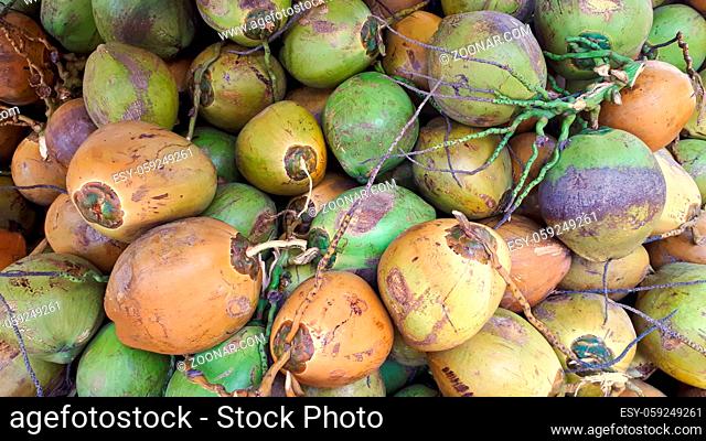 Ein Berg von frischen Kokosnüssen in verschiedenen Farben auf einem Marktplatz in Malaysia