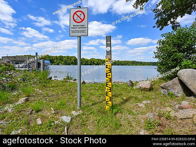 PRODUCTION - 11 August 2023, Brandenburg, Strausberg: A water level gauge at Lake Straus has long been dry. The lake has lost half of its water for about ten...