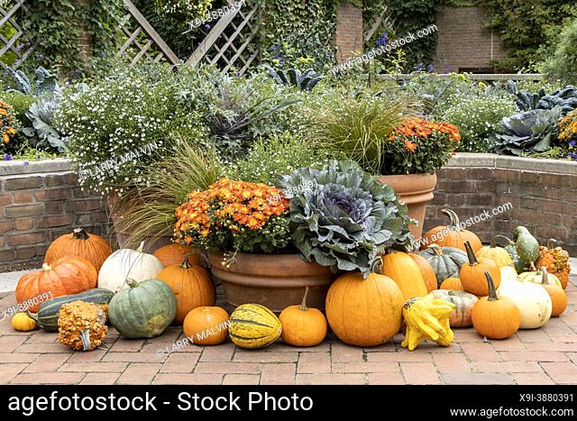 An assortment of pumpkins, gourds, plants and flower pots in a garden setting