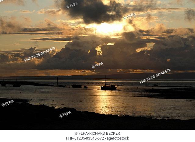 View of boats on intertidal mudflats habitat at sunset, looking towards Grange-over-sands in Cumbria from Morecambe, Morecambe Bay, Lancashire, England