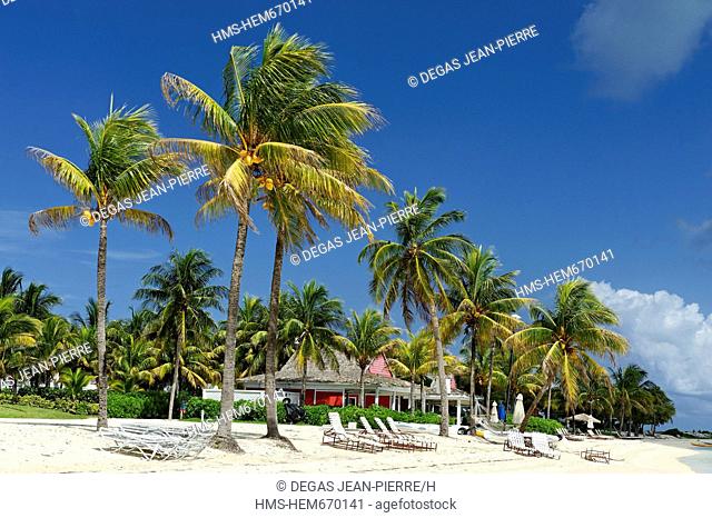 Bahamas, Grand Bahama Island, West End, Old Bahama Bay, white sand beach lined with coconut trees that are home to bungalows