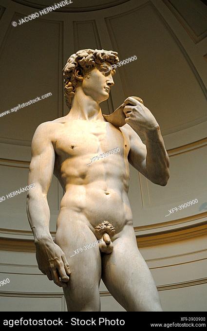 David by Michelangelo. Sculpture exhibited in the Accademia Gallery. Florence. Tuscany. Italy