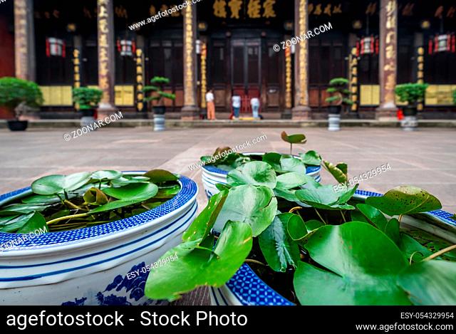 Plants and flowers in the courtyard of the Buddhist Wenshu Monastery, Chengdu, Sichuan Province, China