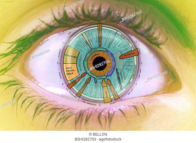 Iridology is the study of the colored part of the eye called the iris to determine potential health problems. It is used to identify weaknesses in every part of...