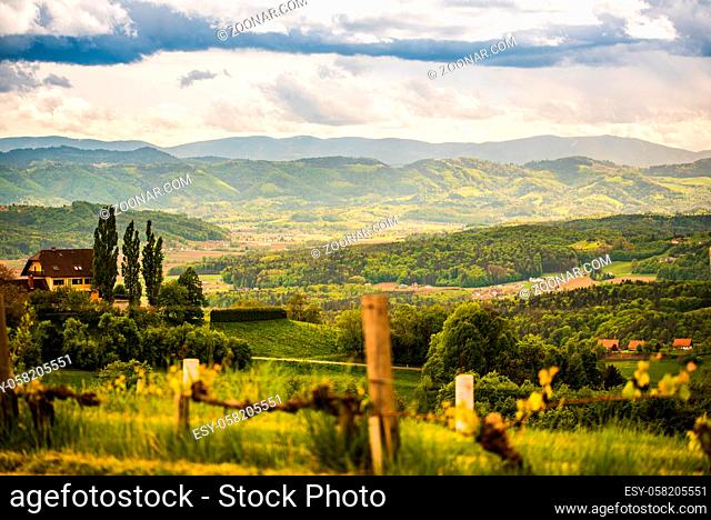 Landscape of vineyard hills. Leibnitz area in south Styria, wine country. Tuscany like place and famous tourist spot