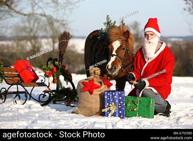 Christmas sleigh ride
